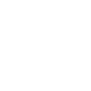 App Store Optimization