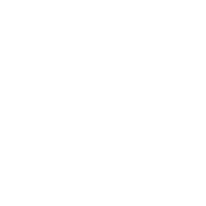 Influencer Marketing