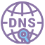 Find DNS records