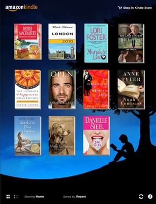 Kindle iPad app