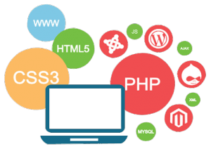 Custom Website Development Services