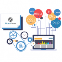 wordpress web development