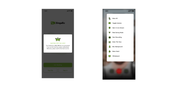 Unique features of zingallo