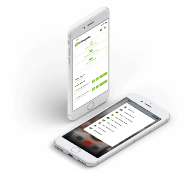 zingallo_screen