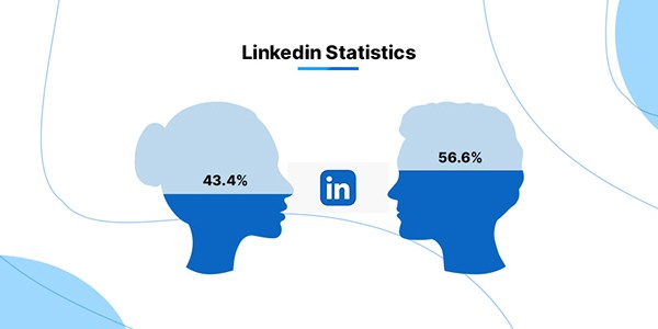 social media algorithms