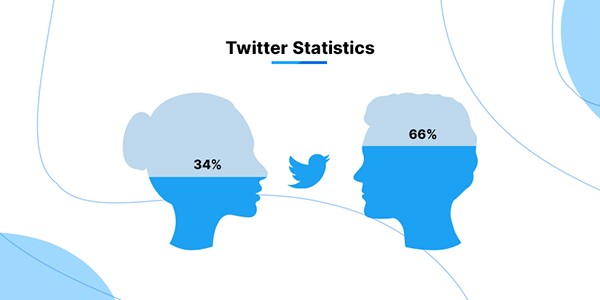 social media algorithms