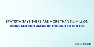 voice search stats