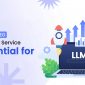 The Future of SEO: Why LLM SEO Service Is Essential for Brands