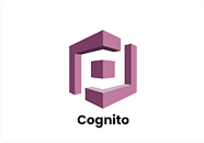 cognito-1 (1)