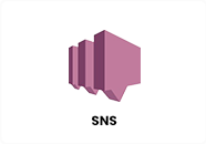 sns-1