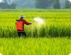 Agriculture